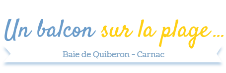 Location studio carnac plage